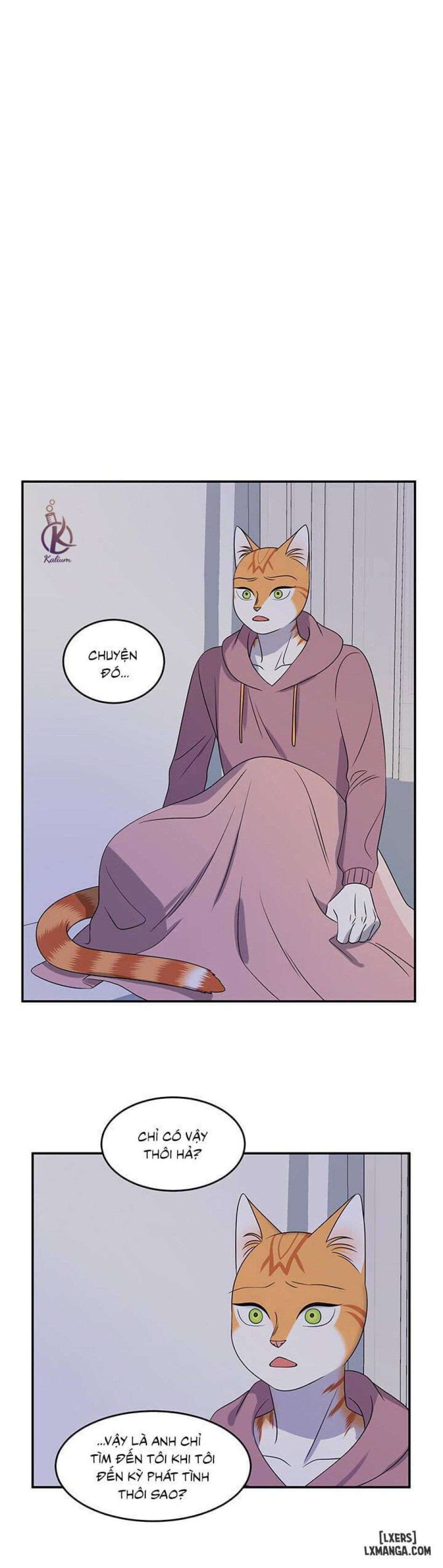 đọc truyện Dự Án Xanh Chương 15 ảnh 21 tại Thiên Thai Truyện