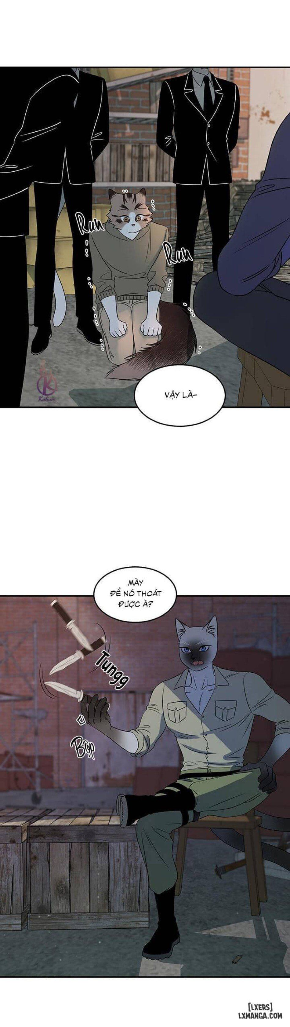 đọc truyện Dự Án Xanh Chương 15 ảnh 4 tại Thiên Thai Truyện