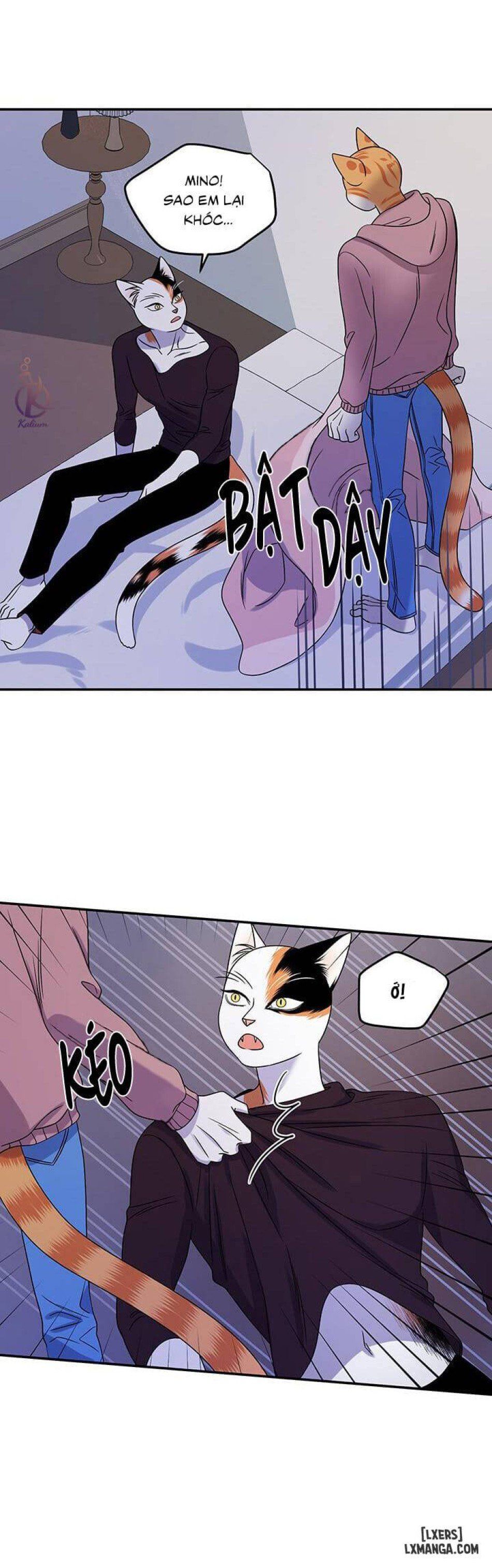 đọc truyện Dự Án Xanh Chương 15 ảnh 26 tại Thiên Thai Truyện