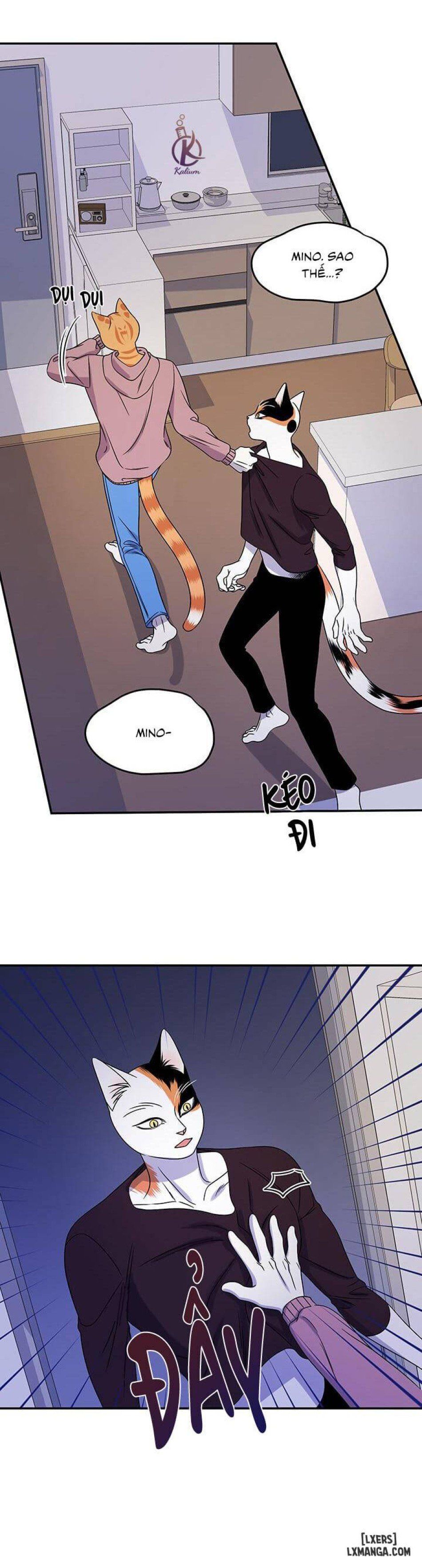 đọc truyện Dự Án Xanh Chương 15 ảnh 27 tại Thiên Thai Truyện