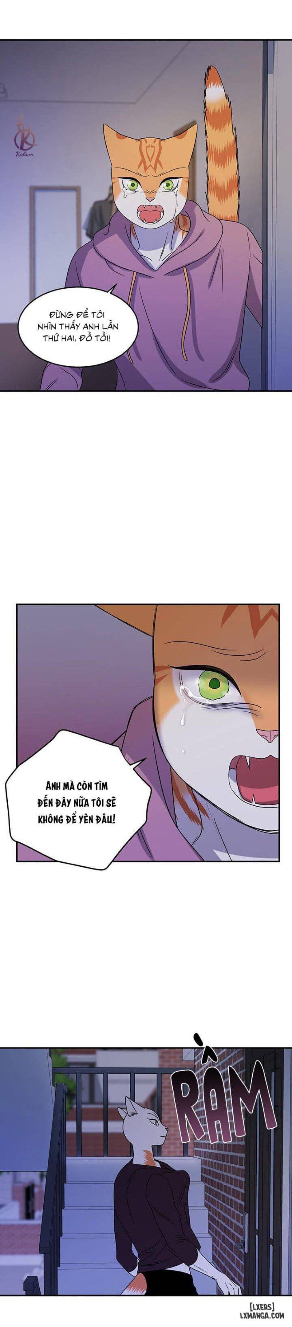 đọc truyện Dự Án Xanh Chương 15 ảnh 28 tại Thiên Thai Truyện