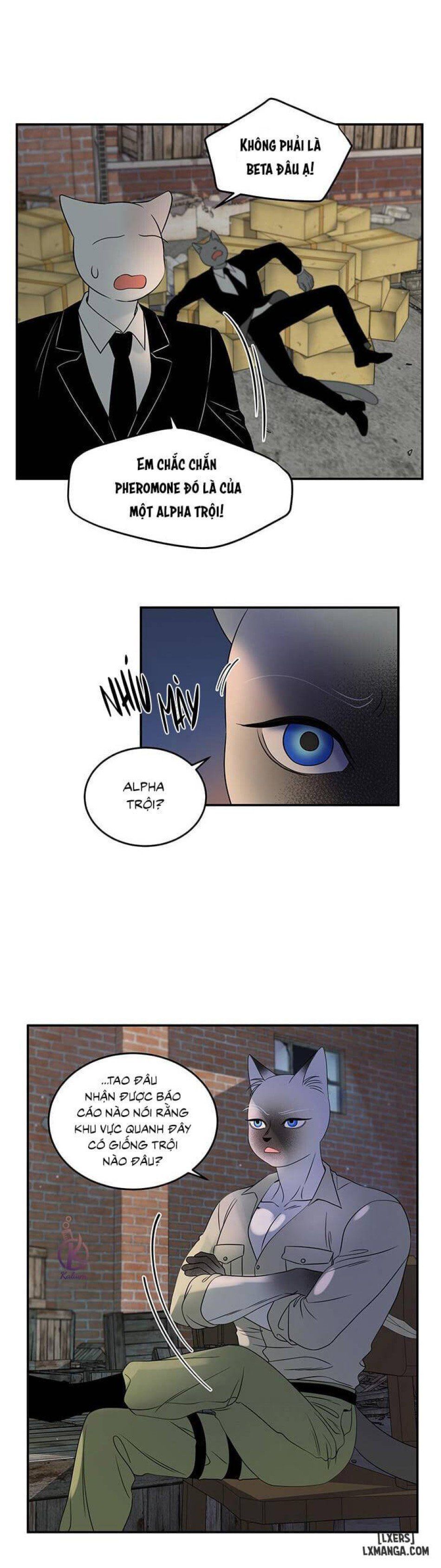 đọc truyện Dự Án Xanh Chương 15 ảnh 7 tại Thiên Thai Truyện