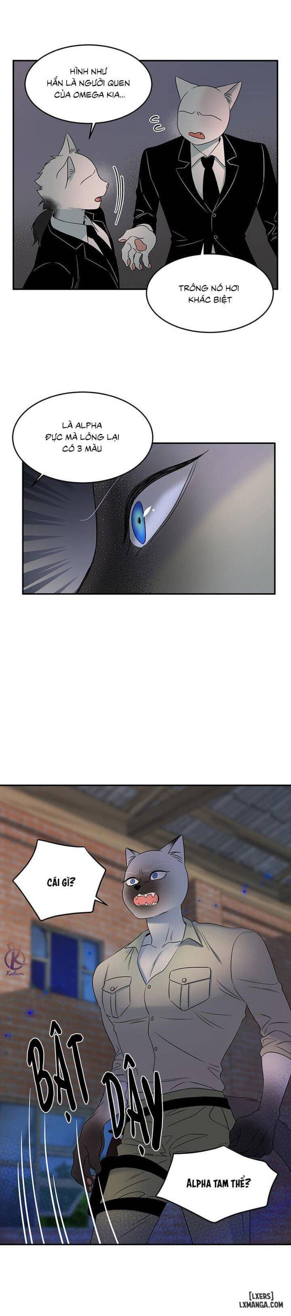 đọc truyện Dự Án Xanh Chương 15 ảnh 8 tại Thiên Thai Truyện