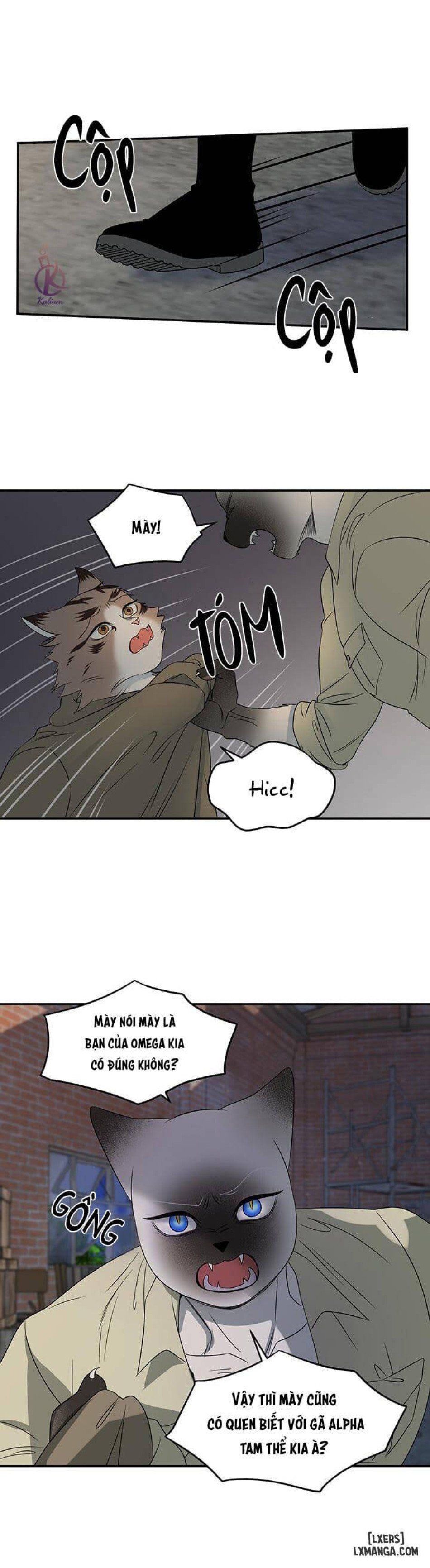 đọc truyện Dự Án Xanh Chương 15 ảnh 9 tại Thiên Thai Truyện