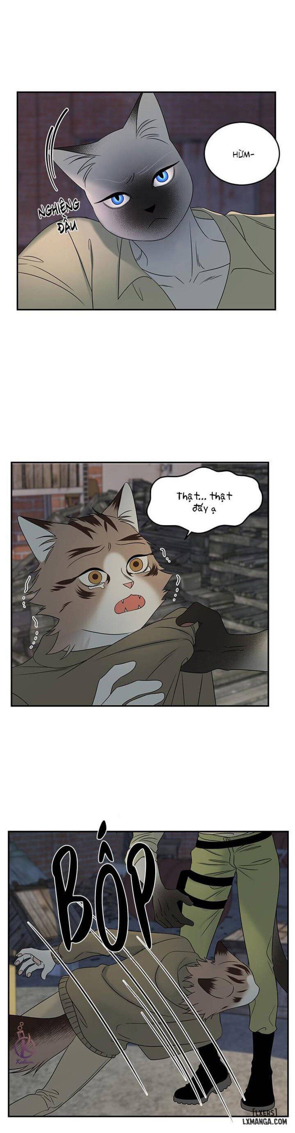 đọc truyện Dự Án Xanh Chương 15 ảnh 11 tại Thiên Thai Truyện