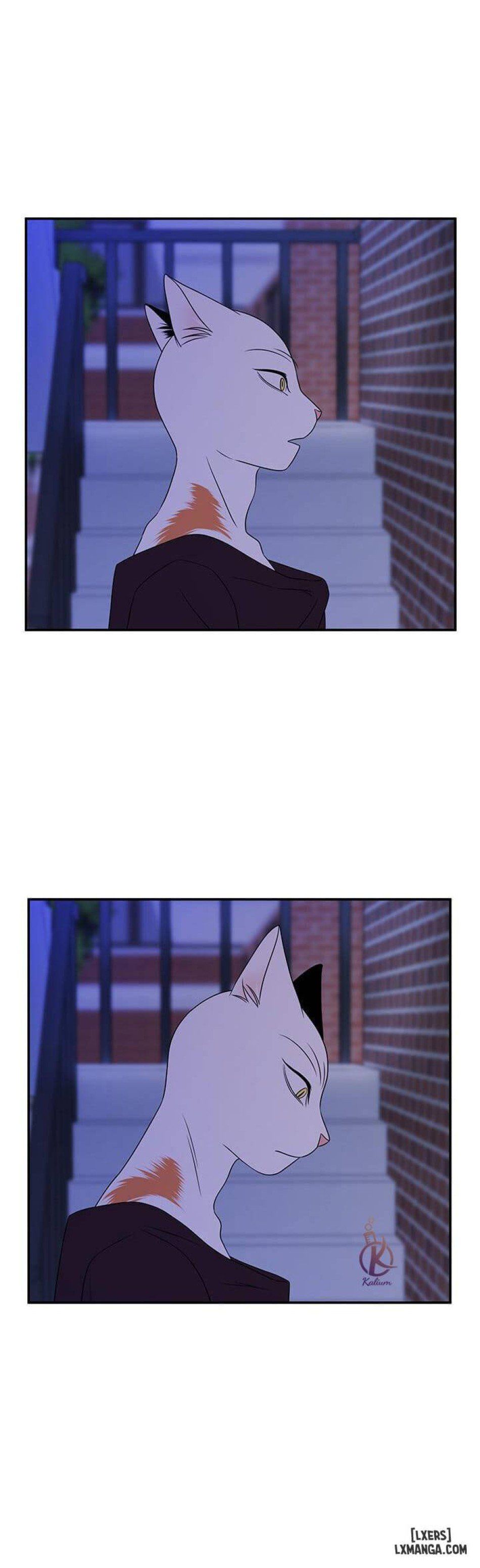 đọc truyện Dự Án Xanh Chương 16 ảnh 3 tại Thiên Thai Truyện