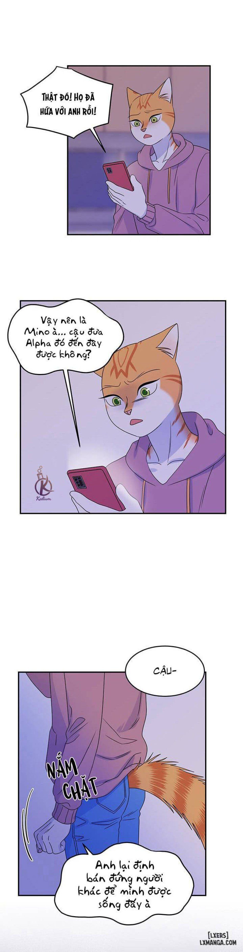 đọc truyện Dự Án Xanh Chương 16 ảnh 12 tại Thiên Thai Truyện