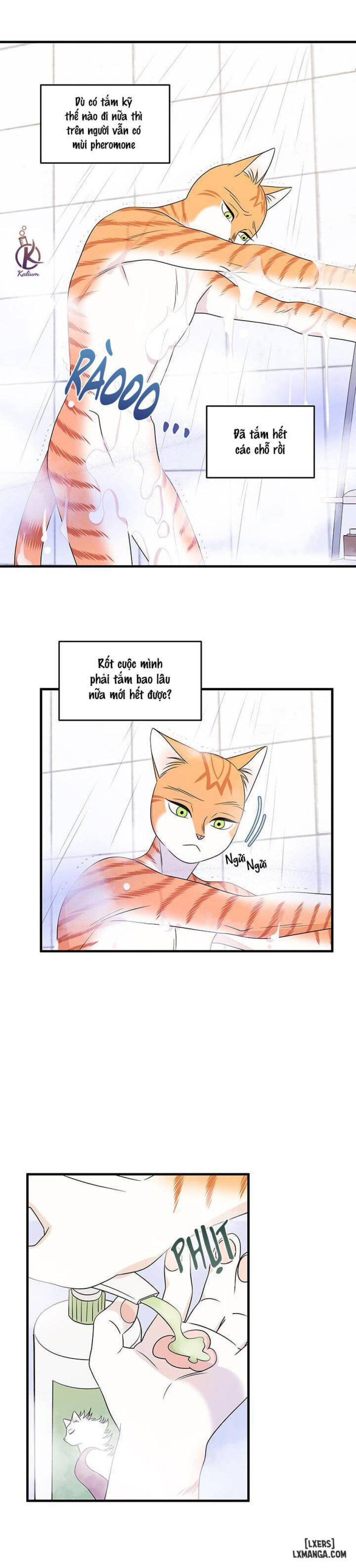 đọc truyện Dự Án Xanh Chương 16 ảnh 16 tại Thiên Thai Truyện