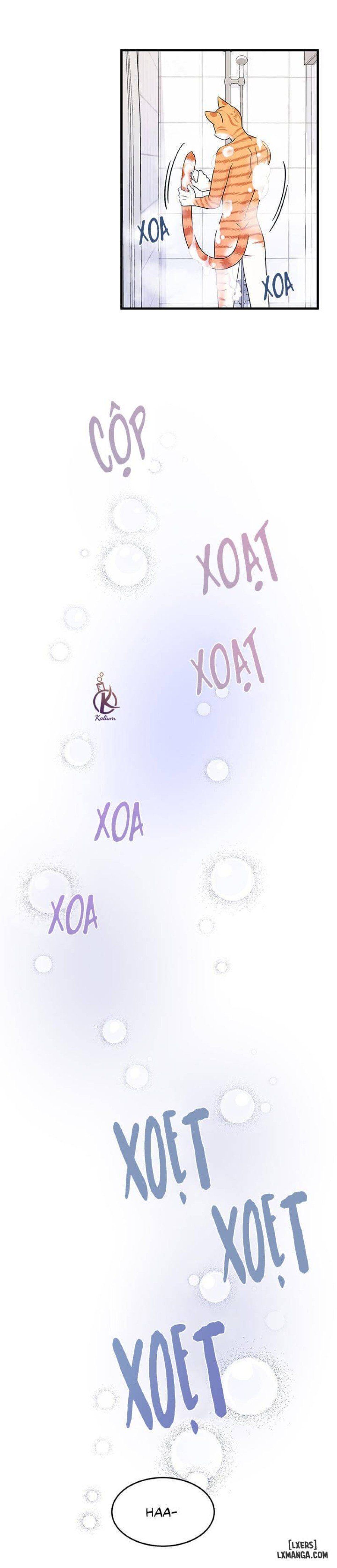 đọc truyện Dự Án Xanh Chương 16 ảnh 17 tại Thiên Thai Truyện