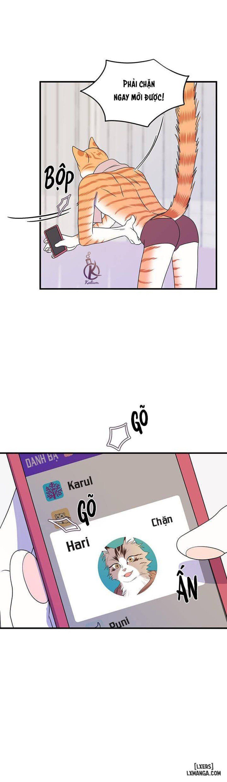 đọc truyện Dự Án Xanh Chương 16 ảnh 25 tại Thiên Thai Truyện