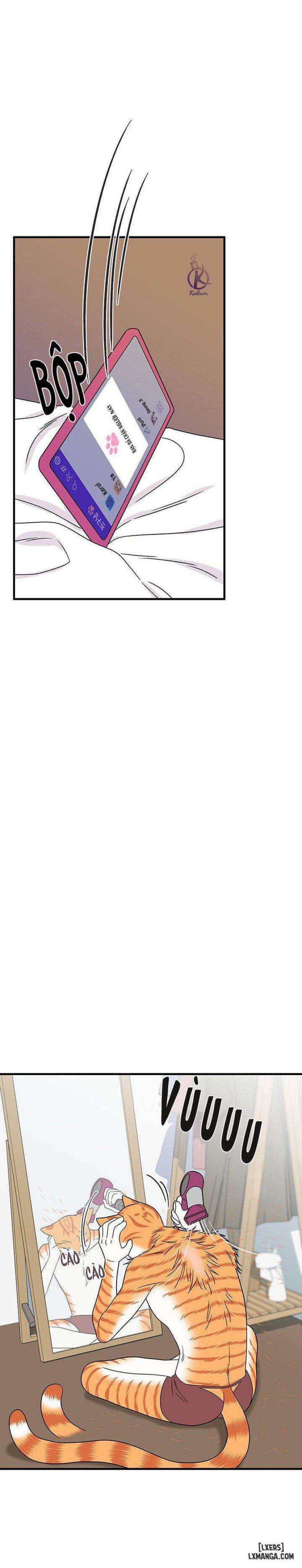 đọc truyện Dự Án Xanh Chương 16 ảnh 28 tại Thiên Thai Truyện