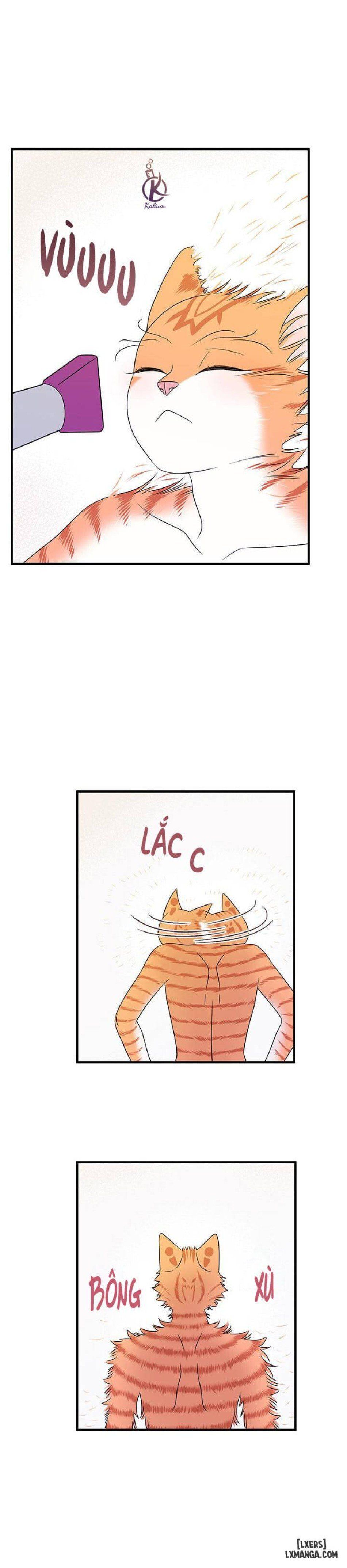 đọc truyện Dự Án Xanh Chương 16 ảnh 29 tại Thiên Thai Truyện