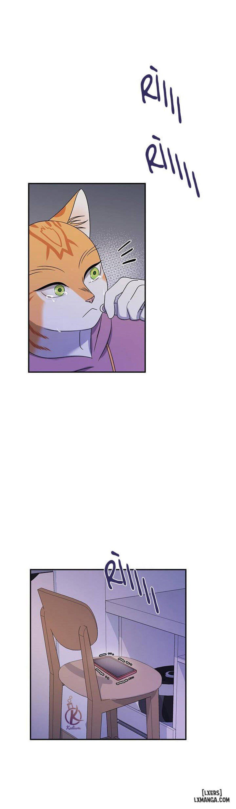 đọc truyện Dự Án Xanh Chương 16 ảnh 7 tại Thiên Thai Truyện