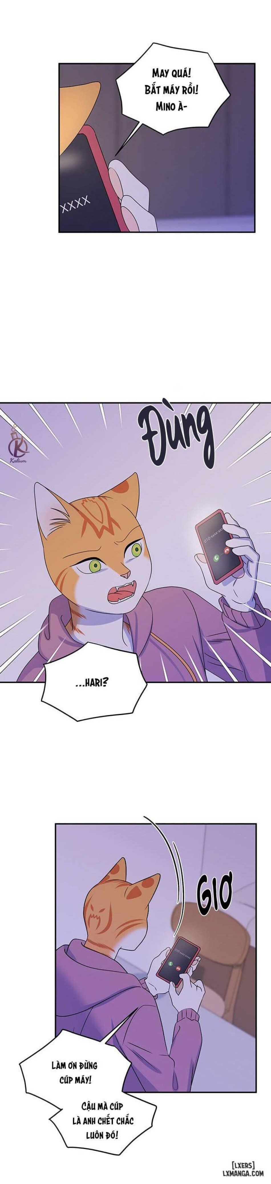 đọc truyện Dự Án Xanh Chương 16 ảnh 9 tại Thiên Thai Truyện