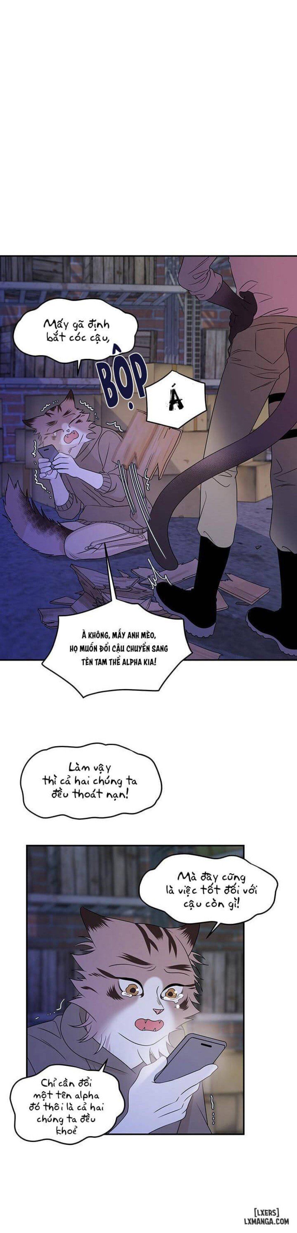 đọc truyện Dự Án Xanh Chương 16 ảnh 11 tại Thiên Thai Truyện