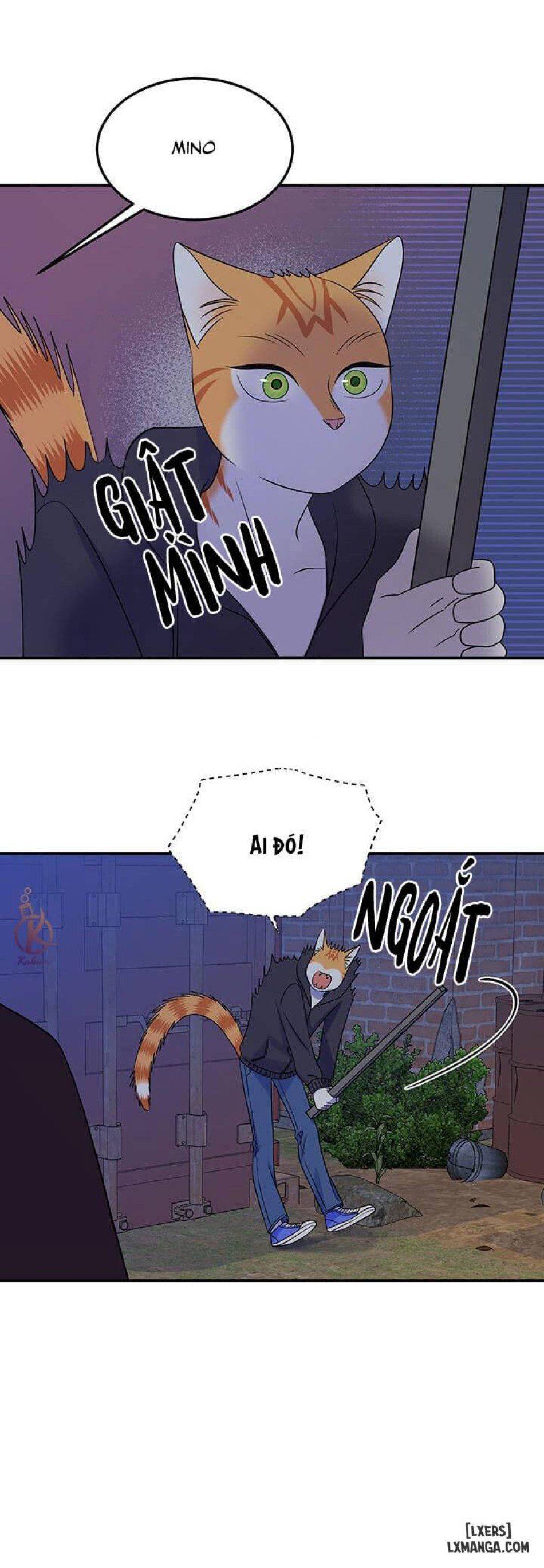 đọc truyện Dự Án Xanh Chương 17 ảnh 12 tại Thiên Thai Truyện