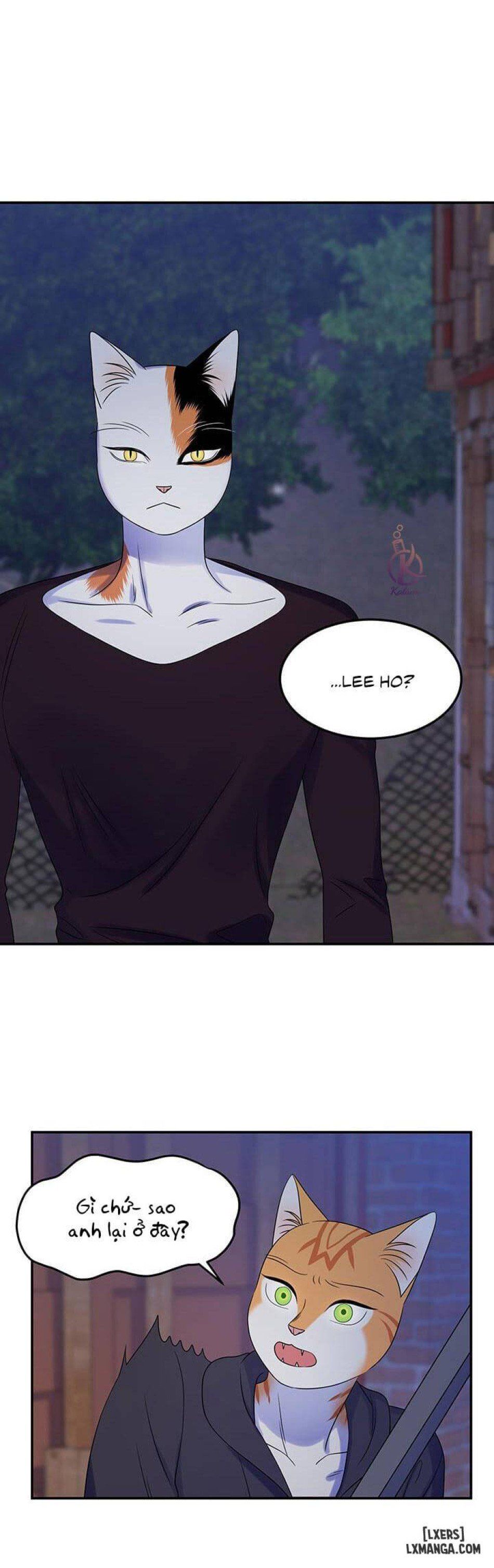 đọc truyện Dự Án Xanh Chương 17 ảnh 13 tại Thiên Thai Truyện