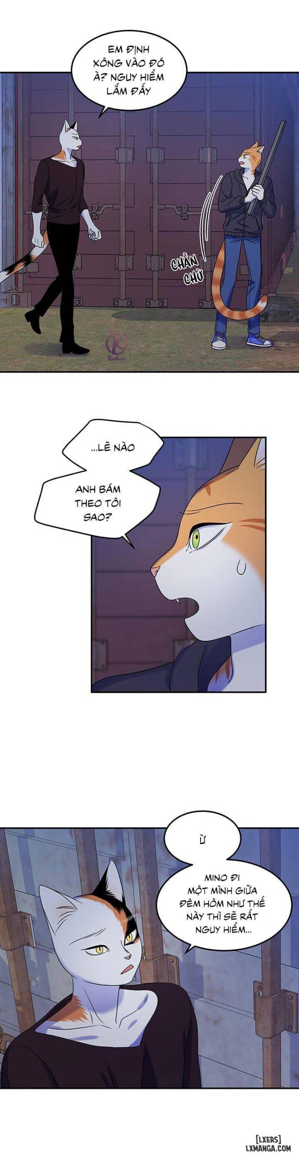 đọc truyện Dự Án Xanh Chương 17 ảnh 14 tại Thiên Thai Truyện