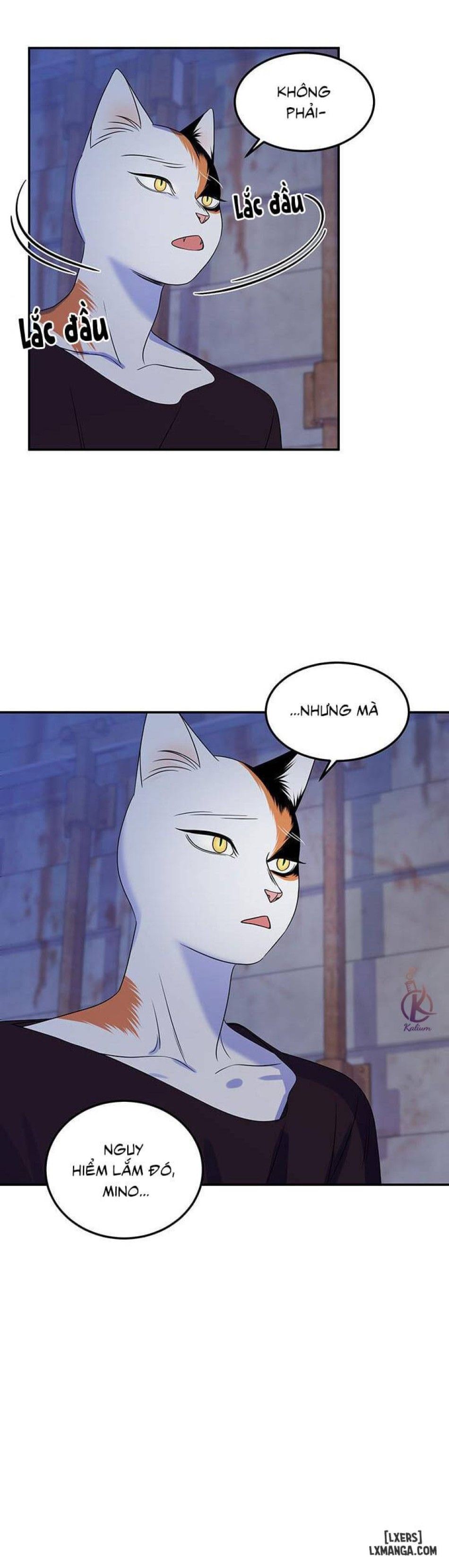 đọc truyện Dự Án Xanh Chương 17 ảnh 16 tại Thiên Thai Truyện