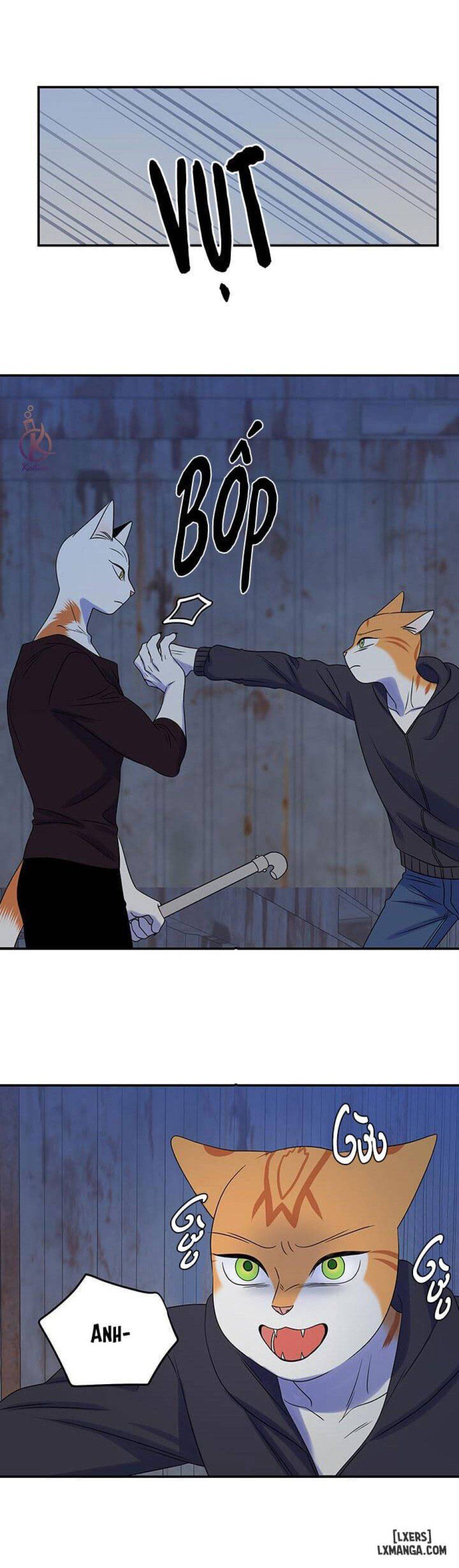 đọc truyện Dự Án Xanh Chương 17 ảnh 20 tại Thiên Thai Truyện