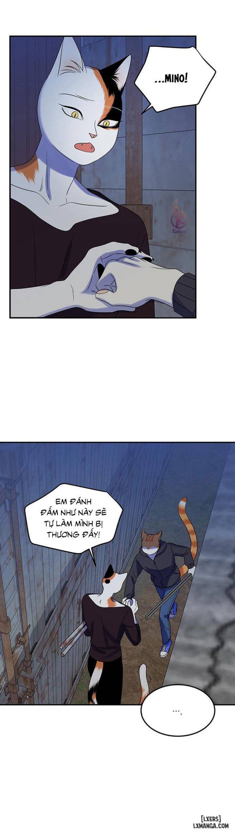 đọc truyện Dự Án Xanh Chương 17 ảnh 21 tại Thiên Thai Truyện