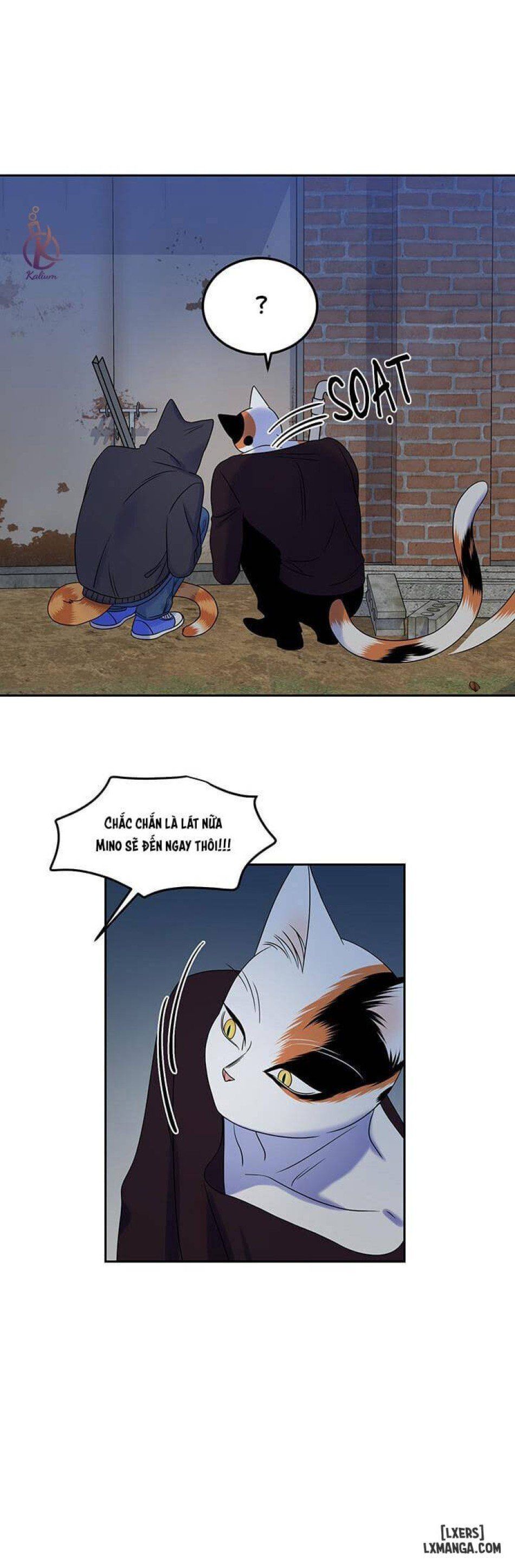 đọc truyện Dự Án Xanh Chương 17 ảnh 25 tại Thiên Thai Truyện