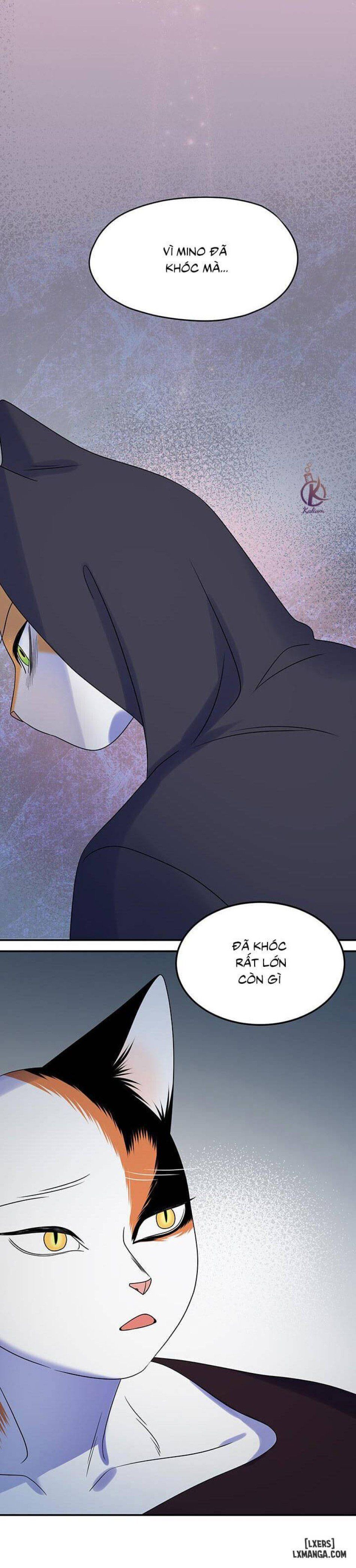 đọc truyện Dự Án Xanh Chương 17 ảnh 29 tại Thiên Thai Truyện