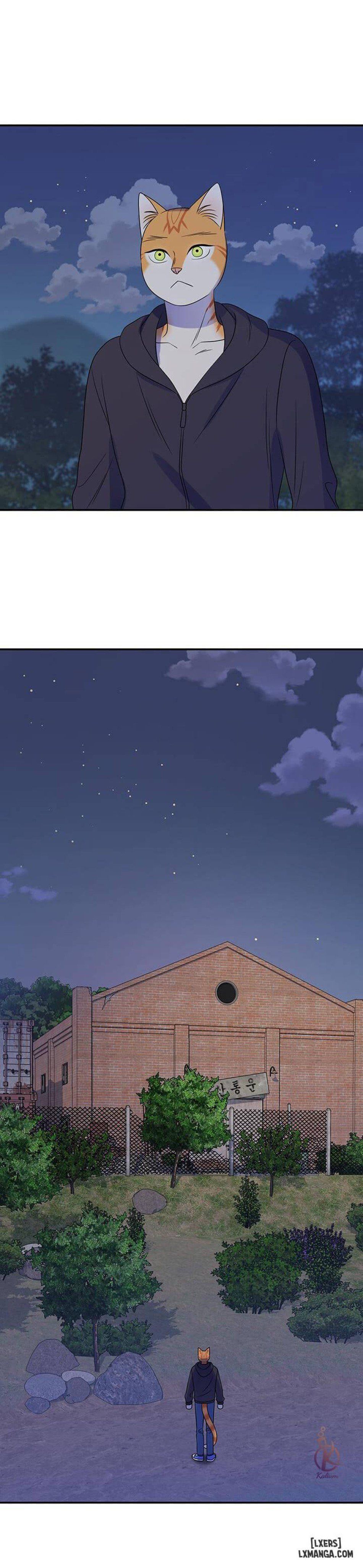 đọc truyện Dự Án Xanh Chương 17 ảnh 7 tại Thiên Thai Truyện