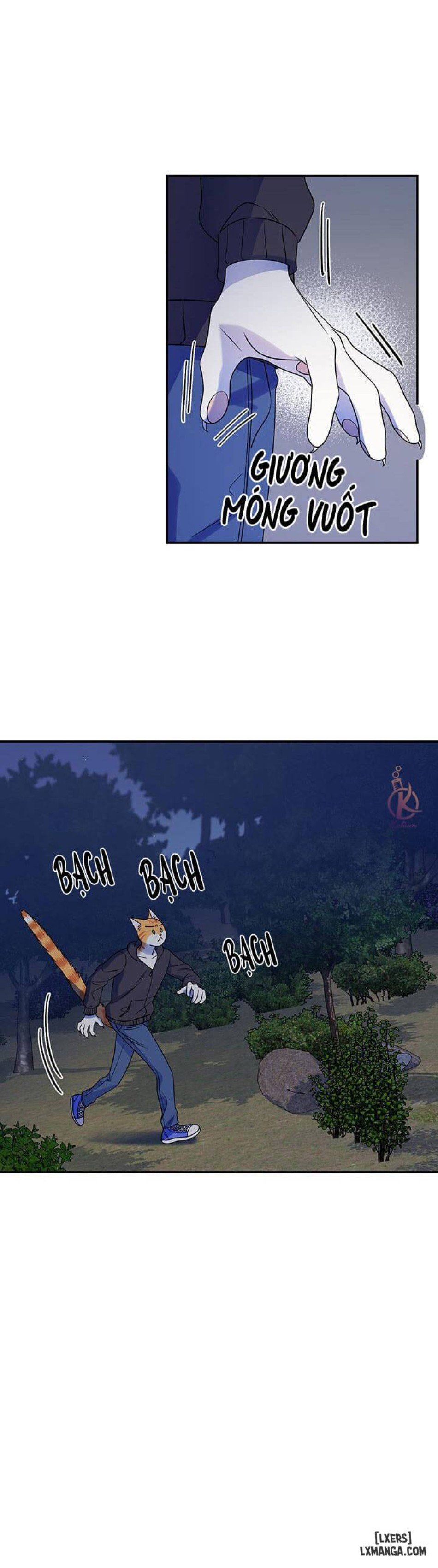 đọc truyện Dự Án Xanh Chương 17 ảnh 9 tại Thiên Thai Truyện