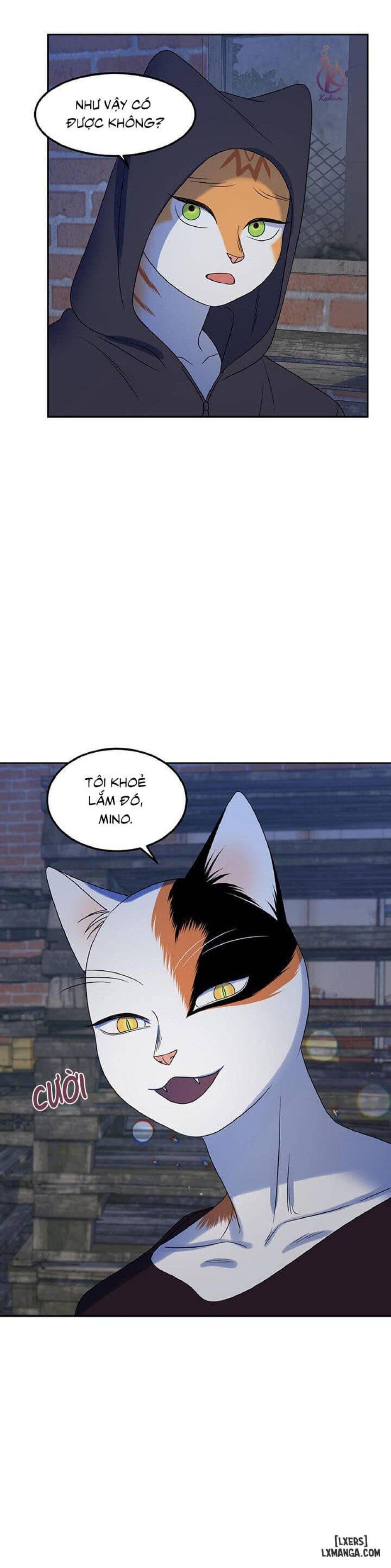 đọc truyện Dự Án Xanh Chương 18 ảnh 12 tại Thiên Thai Truyện