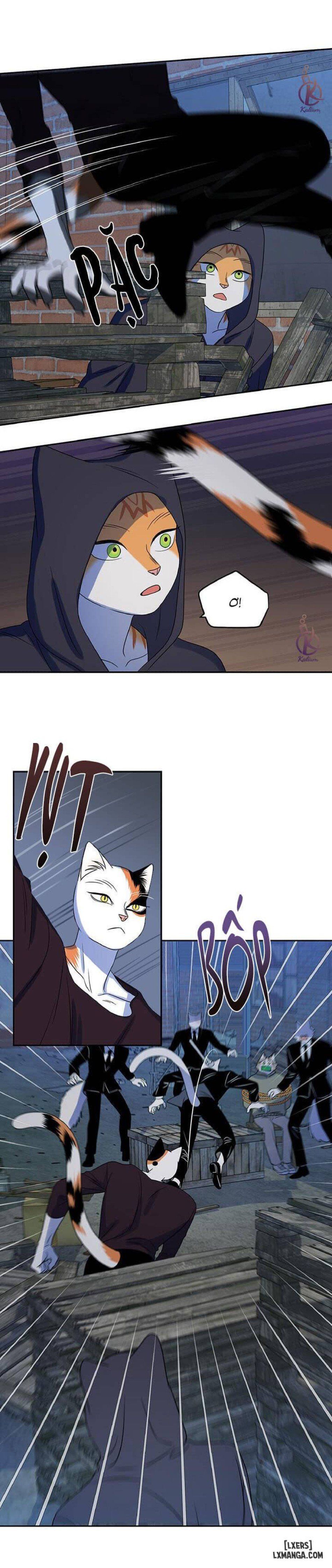 đọc truyện Dự Án Xanh Chương 18 ảnh 13 tại Thiên Thai Truyện