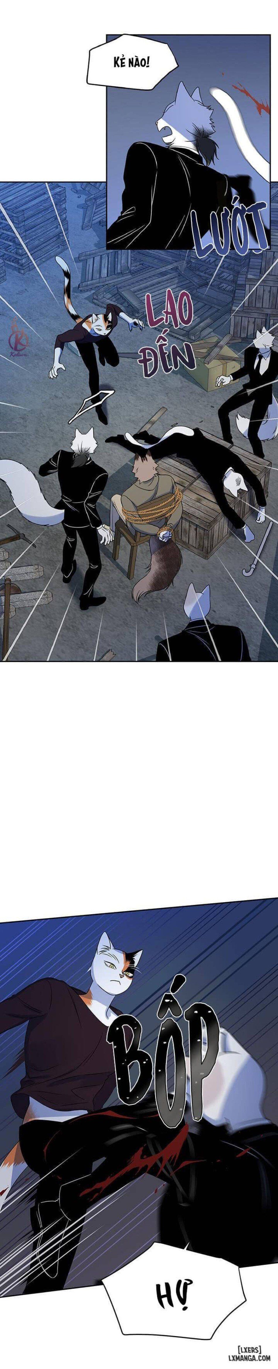 đọc truyện Dự Án Xanh Chương 18 ảnh 14 tại Thiên Thai Truyện