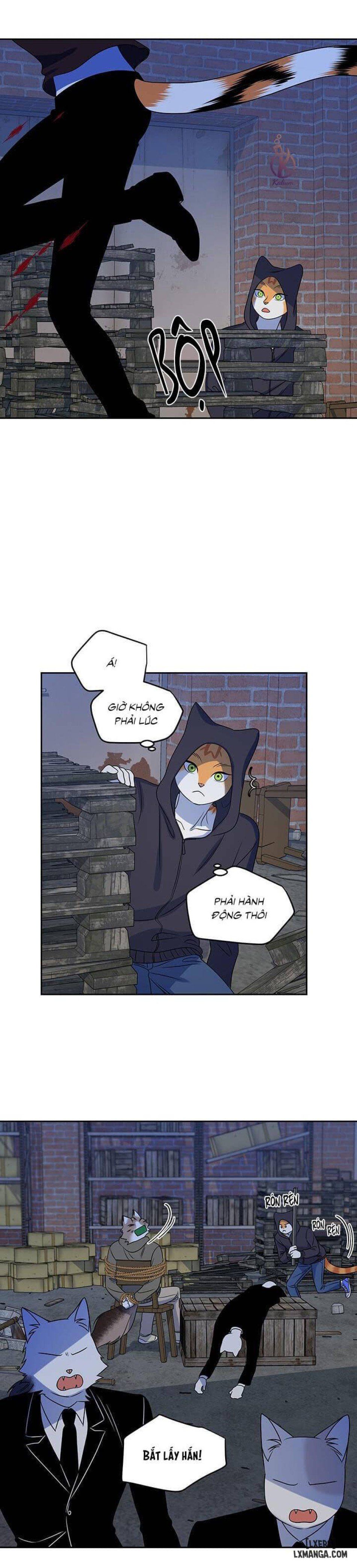 đọc truyện Dự Án Xanh Chương 18 ảnh 15 tại Thiên Thai Truyện