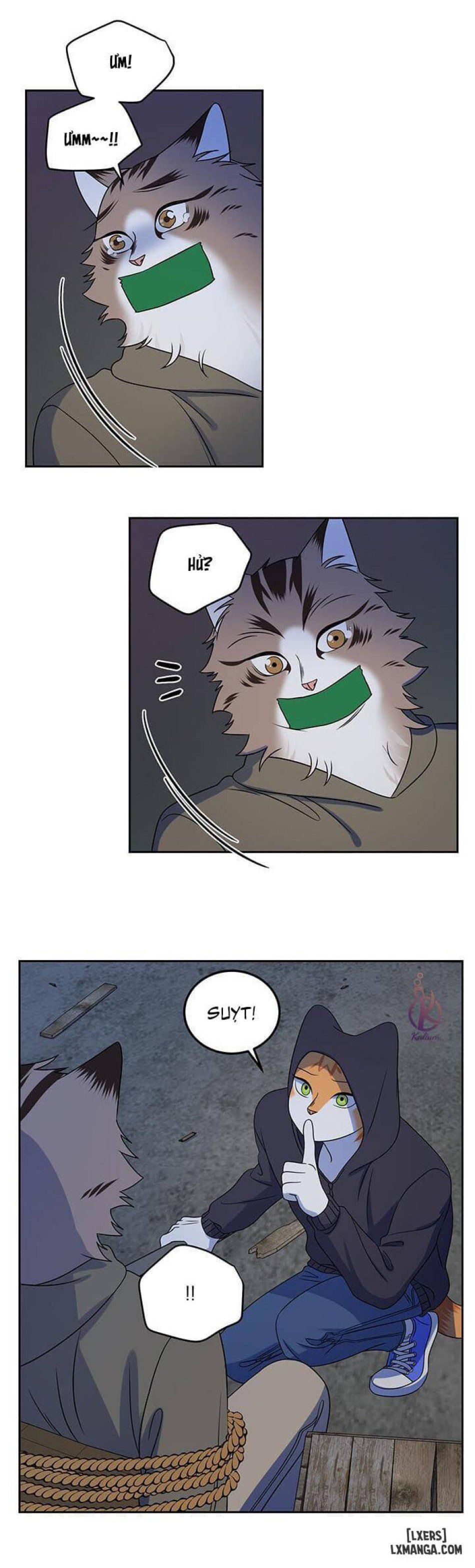 đọc truyện Dự Án Xanh Chương 18 ảnh 16 tại Thiên Thai Truyện