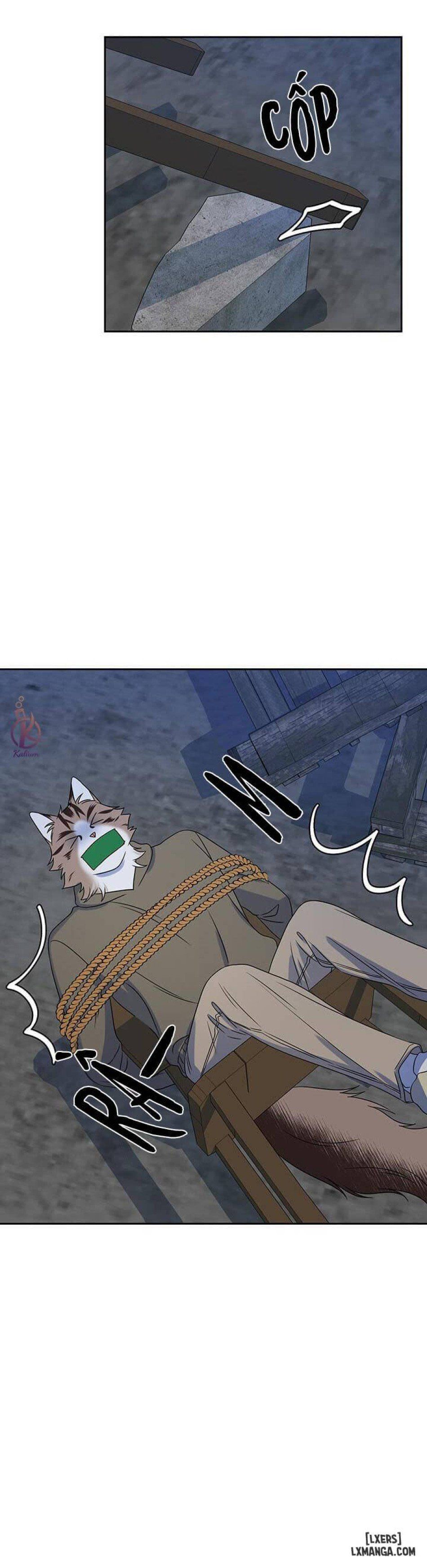 đọc truyện Dự Án Xanh Chương 18 ảnh 18 tại Thiên Thai Truyện