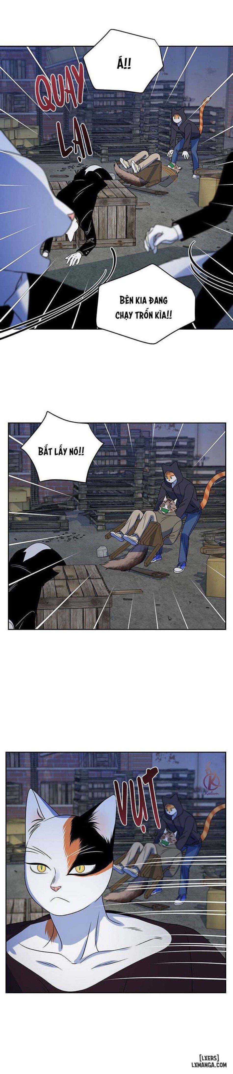 đọc truyện Dự Án Xanh Chương 18 ảnh 19 tại Thiên Thai Truyện