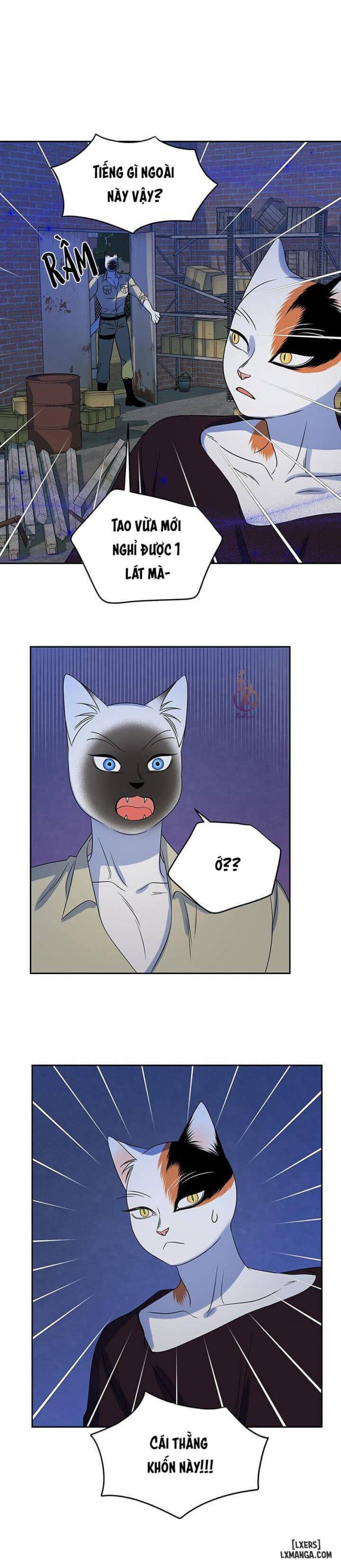 đọc truyện Dự Án Xanh Chương 18 ảnh 22 tại Thiên Thai Truyện