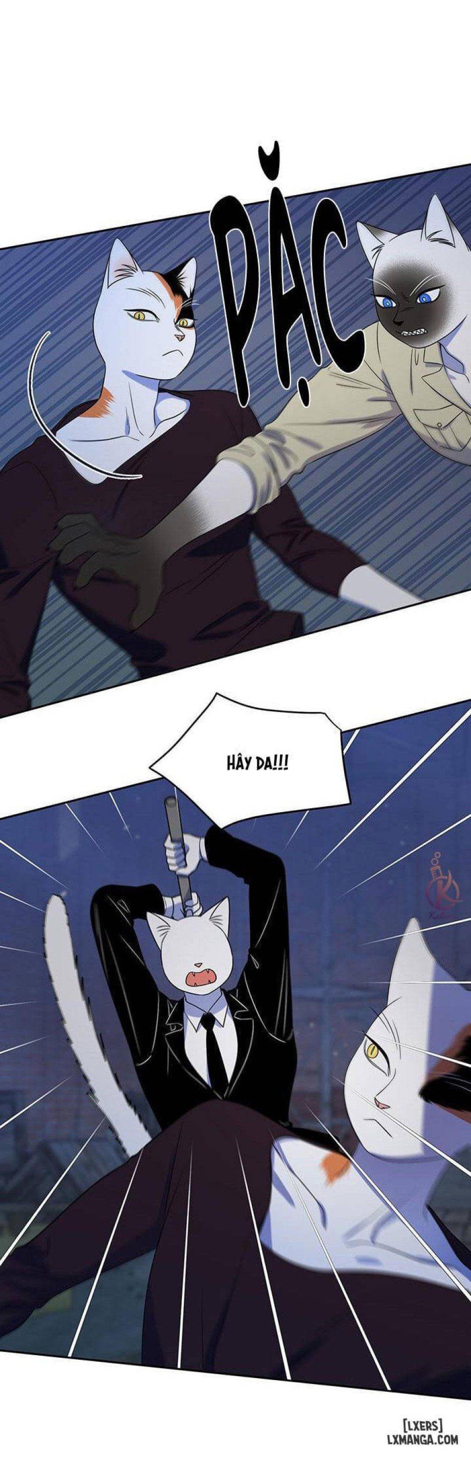 đọc truyện Dự Án Xanh Chương 19 ảnh 3 tại Thiên Thai Truyện