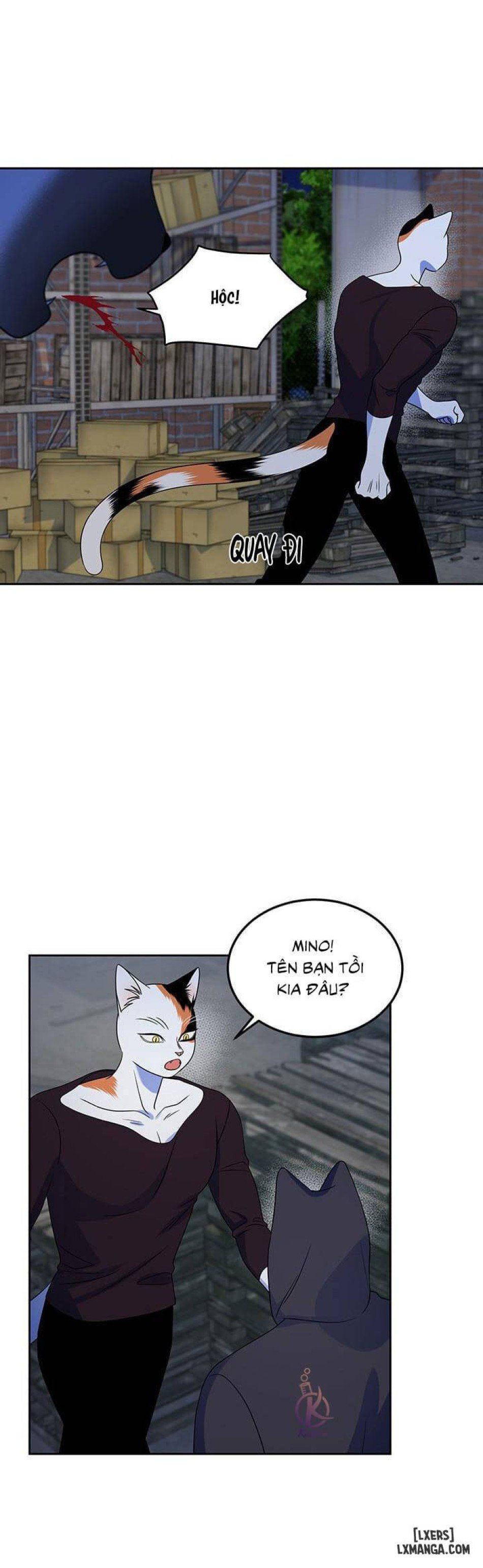 đọc truyện Dự Án Xanh Chương 19 ảnh 13 tại Thiên Thai Truyện