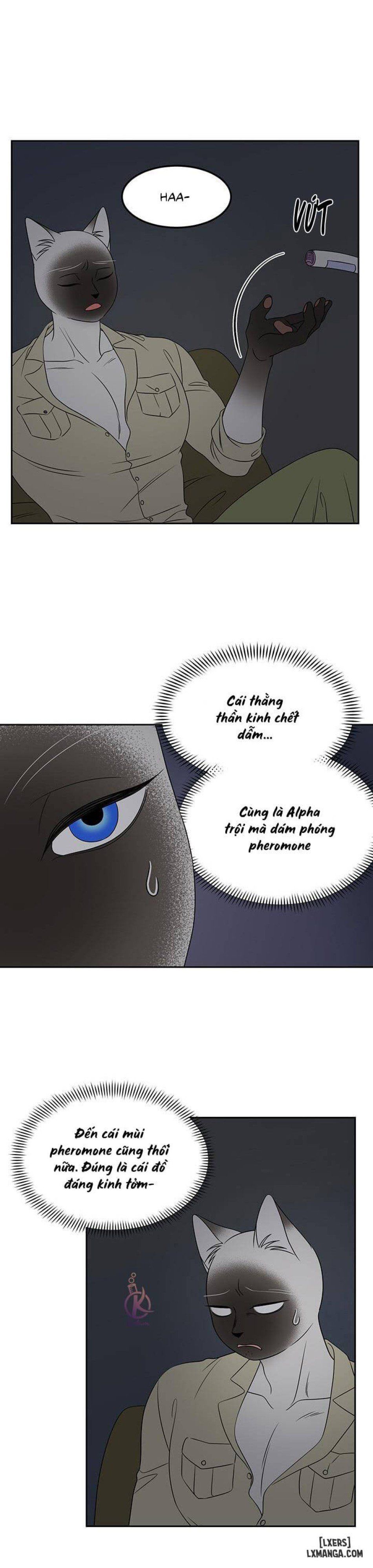 đọc truyện Dự Án Xanh Chương 19 ảnh 18 tại Thiên Thai Truyện