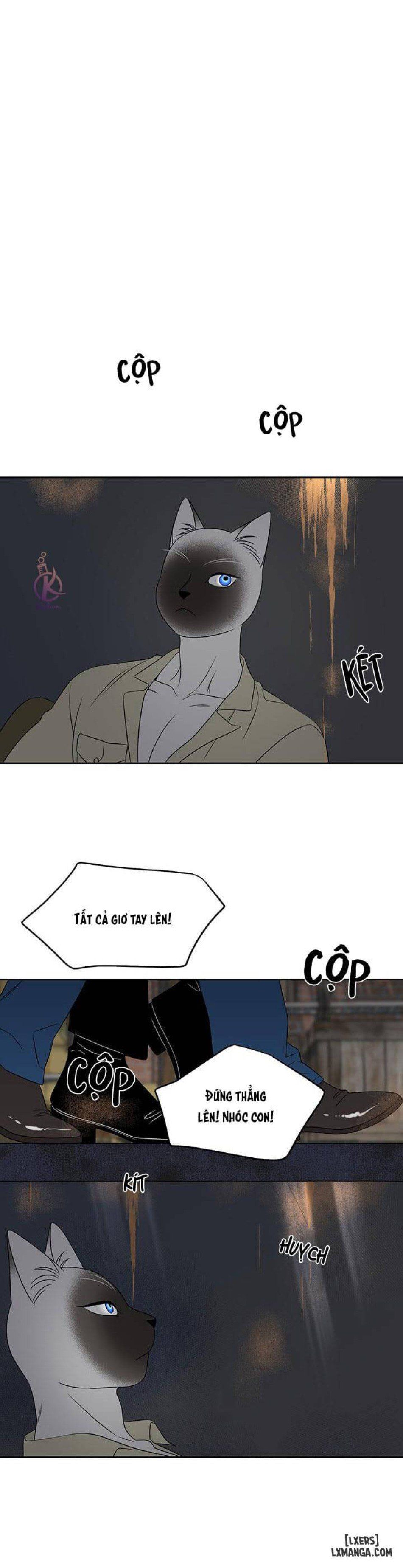 đọc truyện Dự Án Xanh Chương 19 ảnh 19 tại Thiên Thai Truyện