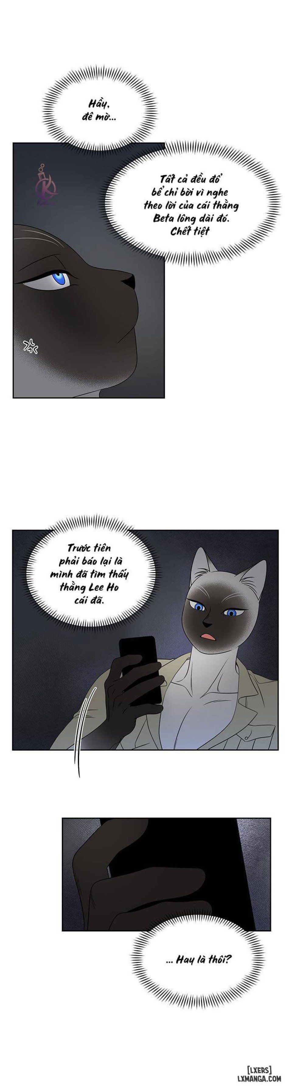 đọc truyện Dự Án Xanh Chương 19 ảnh 20 tại Thiên Thai Truyện