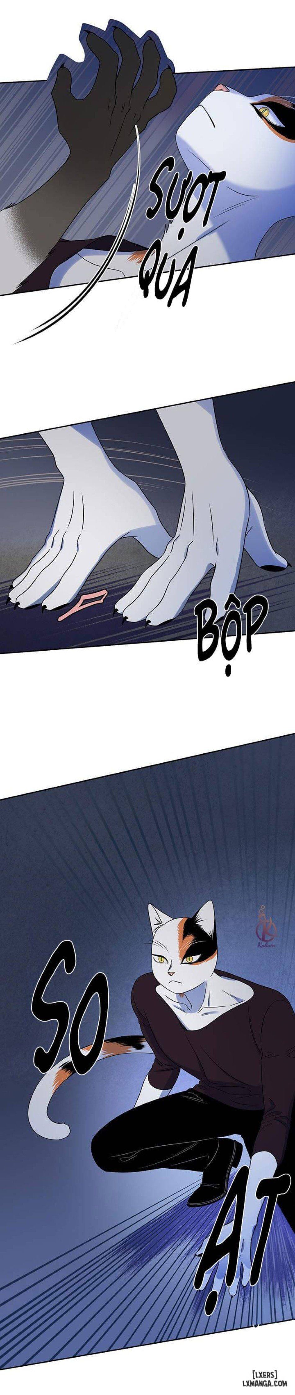 đọc truyện Dự Án Xanh Chương 19 ảnh 5 tại Thiên Thai Truyện