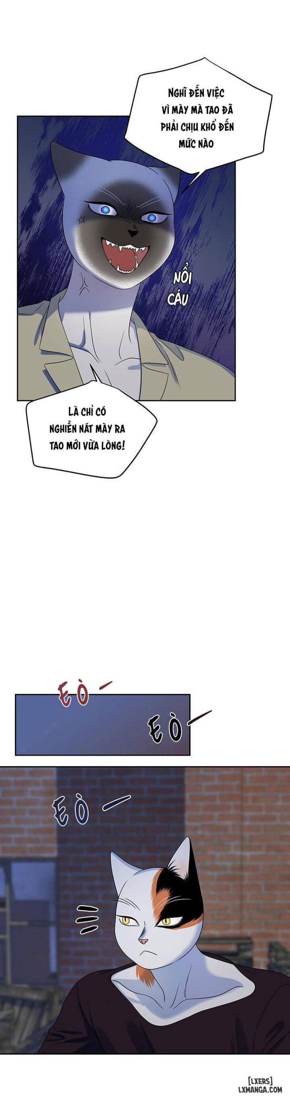 đọc truyện Dự Án Xanh Chương 19 ảnh 7 tại Thiên Thai Truyện