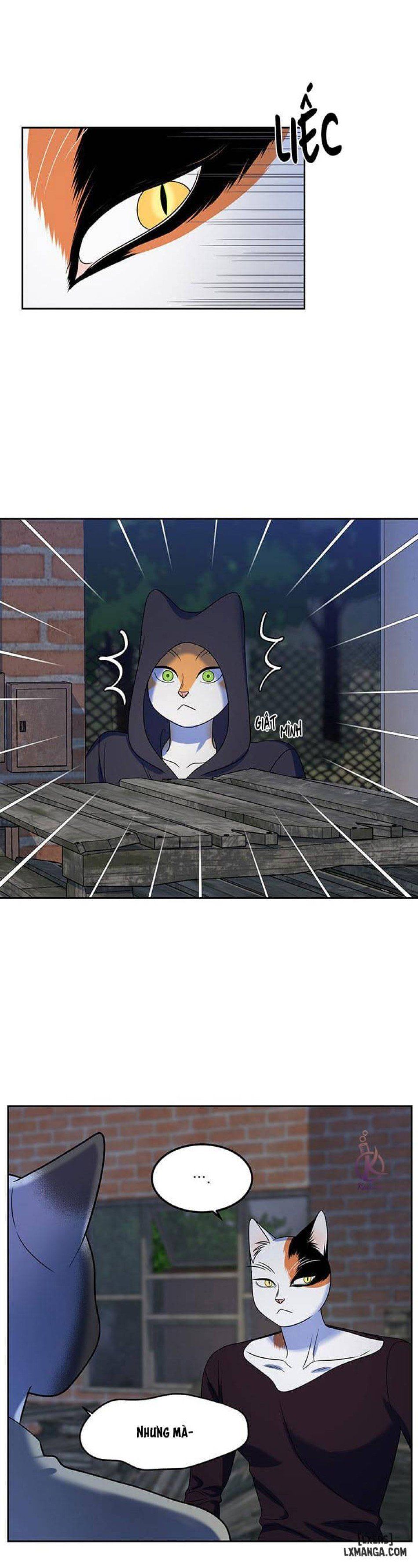 đọc truyện Dự Án Xanh Chương 19 ảnh 8 tại Thiên Thai Truyện