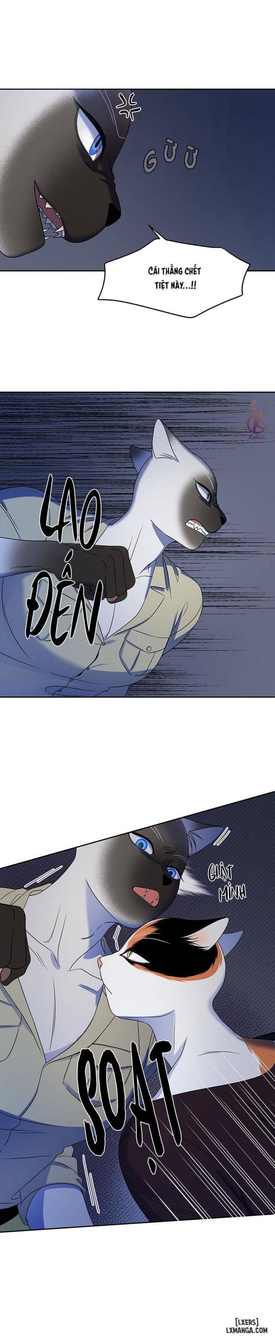 đọc truyện Dự Án Xanh Chương 19 ảnh 10 tại Thiên Thai Truyện