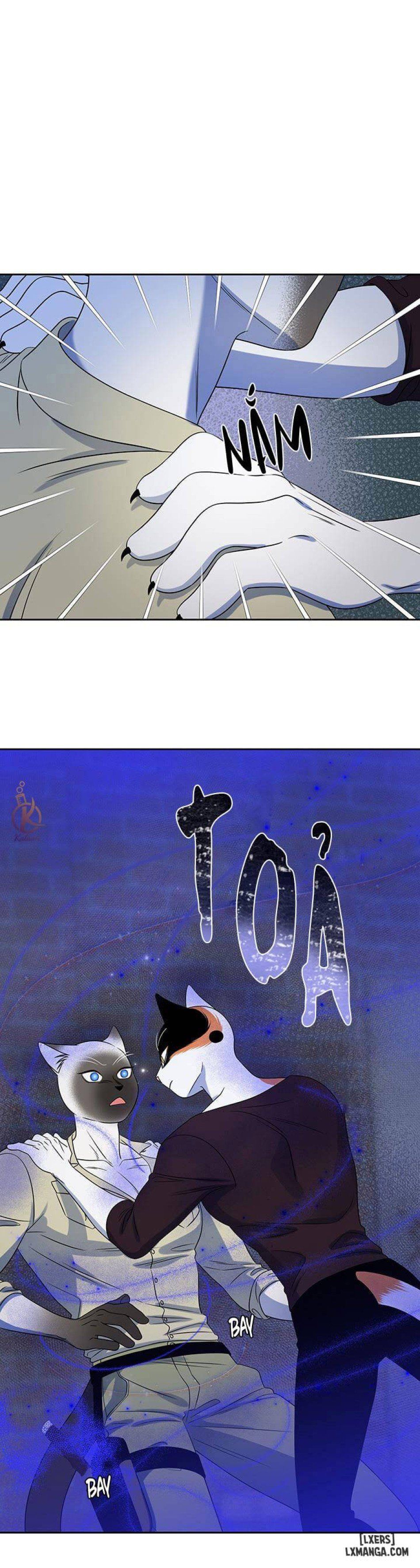 đọc truyện Dự Án Xanh Chương 19 ảnh 11 tại Thiên Thai Truyện