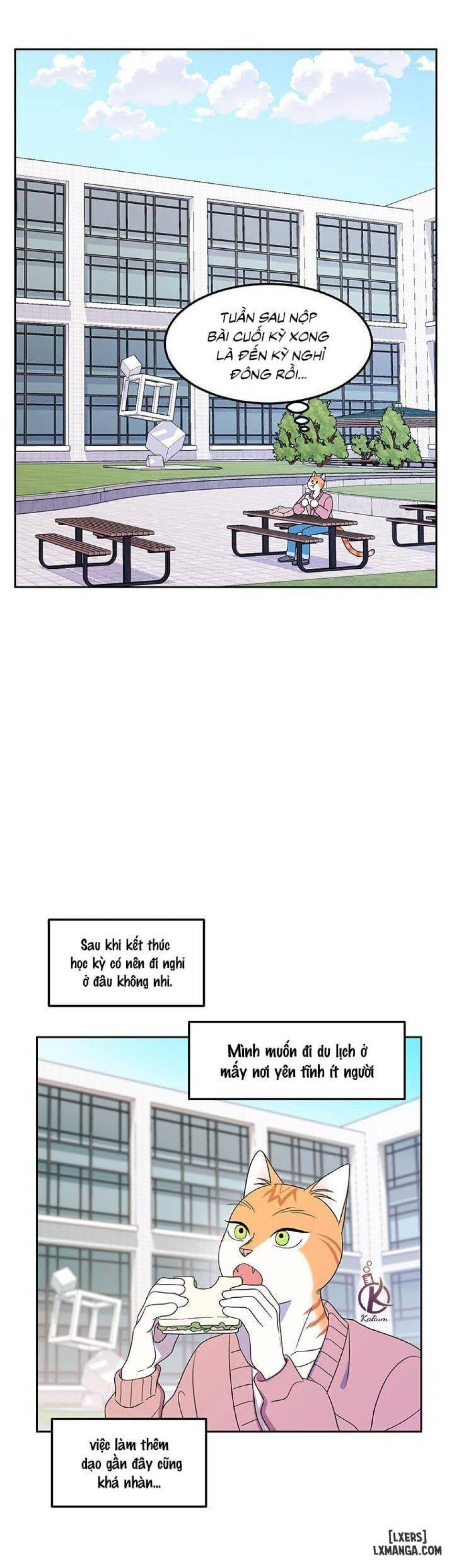 đọc truyện Dự Án Xanh Chương 20 ảnh 12 tại Thiên Thai Truyện