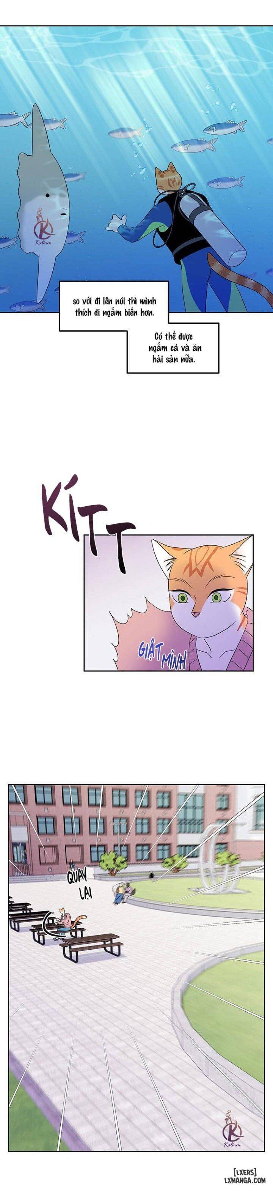 đọc truyện Dự Án Xanh Chương 20 ảnh 13 tại Thiên Thai Truyện