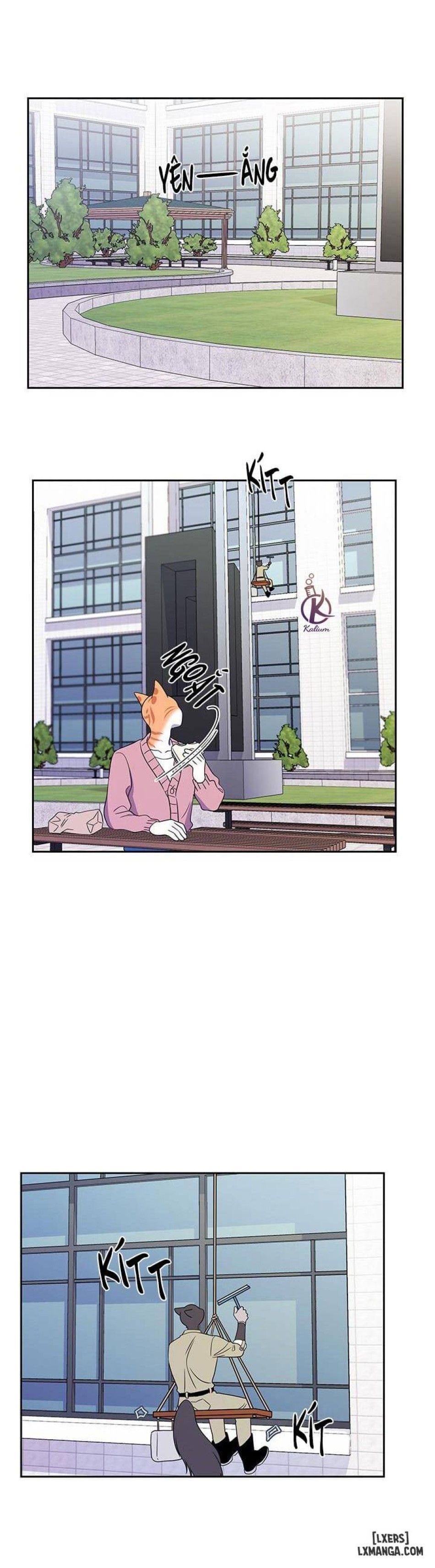 đọc truyện Dự Án Xanh Chương 20 ảnh 14 tại Thiên Thai Truyện